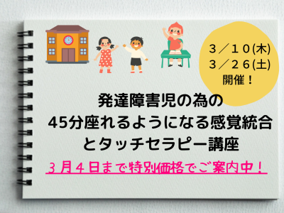 発達障害児の為の 45分座れるようになる感覚統合とタッチセラピー講座 (1)